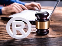 Dịch vụ đăng ký bảo hộ nhãn hiệu và logo trọn gói để bảo vệ tài sản trí tuệ bền vững
